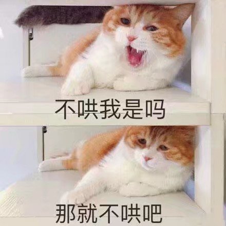 楼楼猫 表情