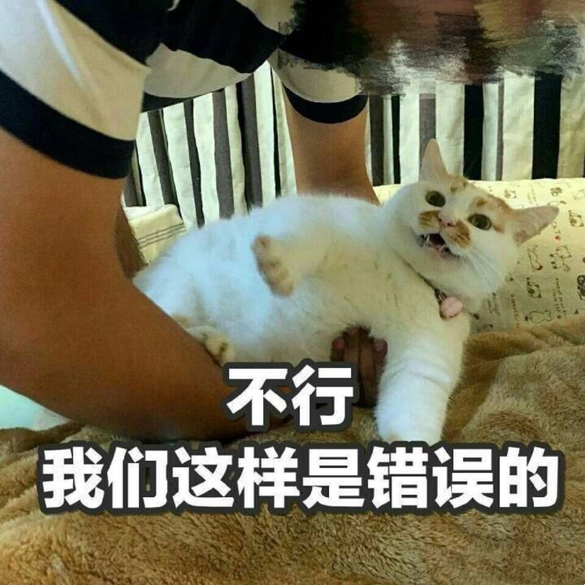 表情包 不行 我们这样事错误的