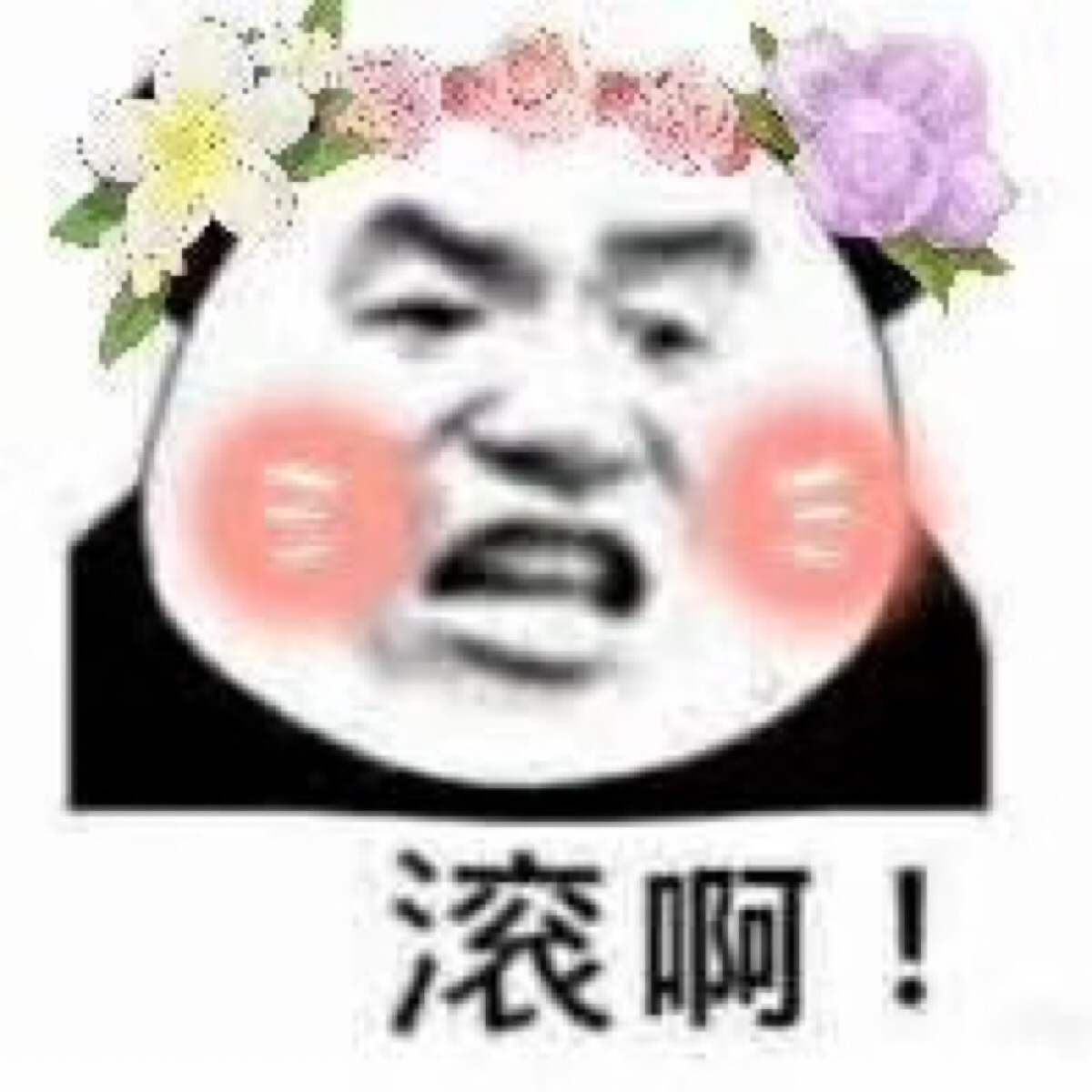 滚啊