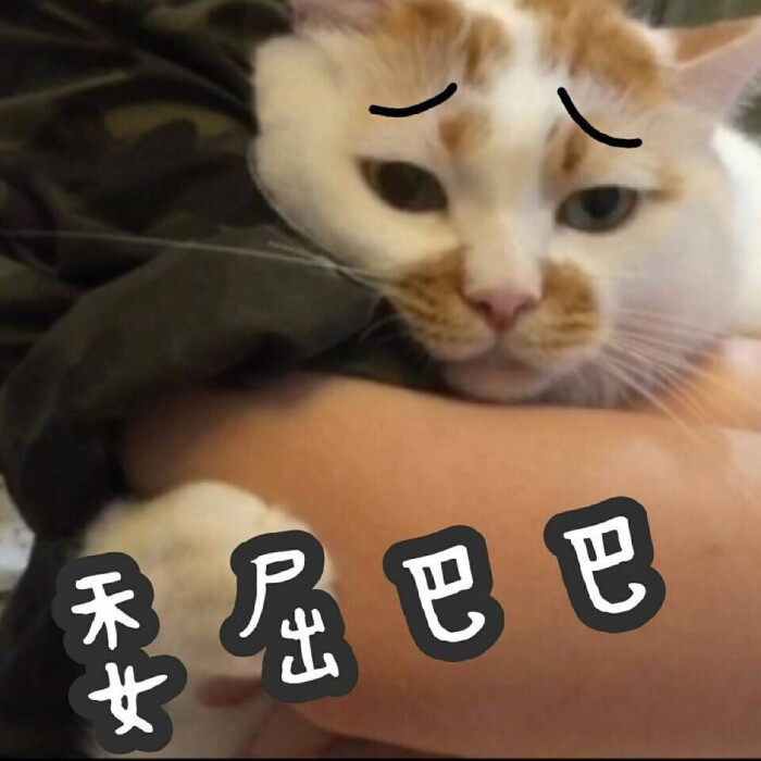表情包 委屈巴巴