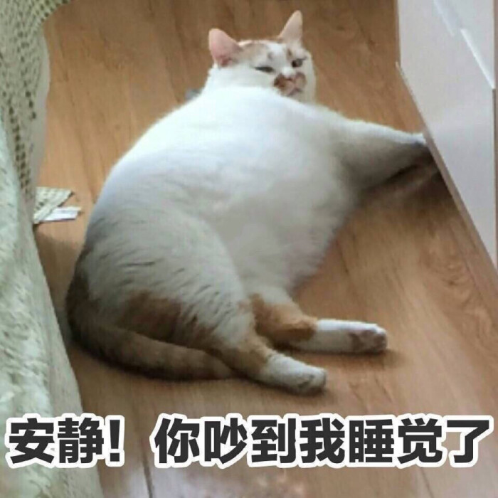 表情包 安静你吵到我睡觉了