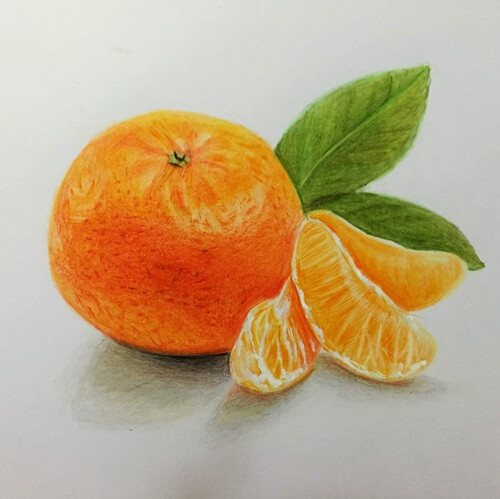 【彩铅教程28】手绘水果桔子橙子 by 驴大萌