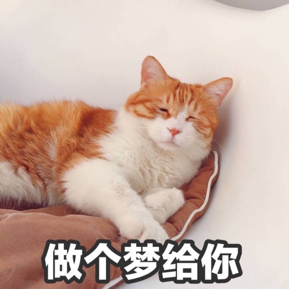 表情包 做个梦给你