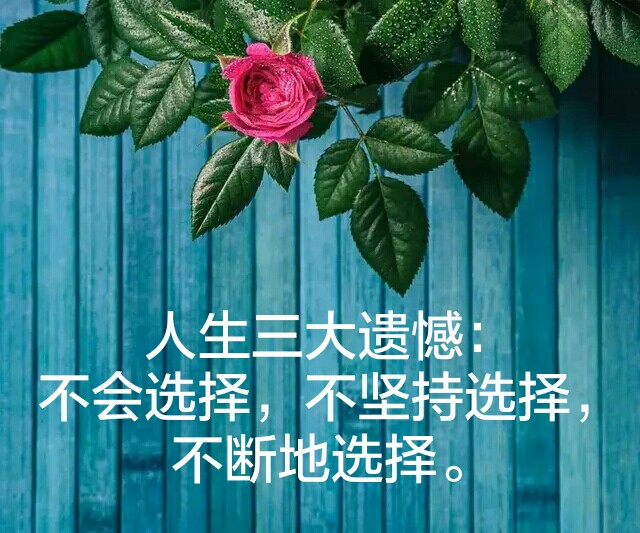 人生三大遗憾:不会选择,不坚持选择,不断地选择.