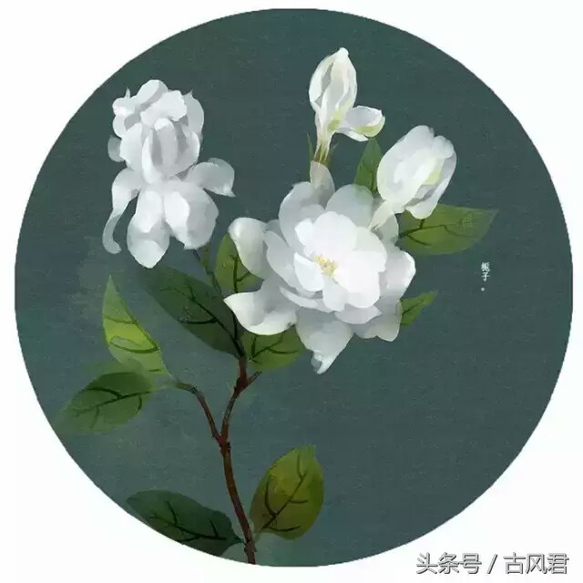 【栀子花】