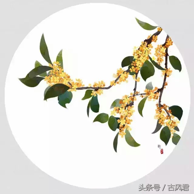 【桂花】不是人间种,移从月中来.广寒香一点,吹得满山开.