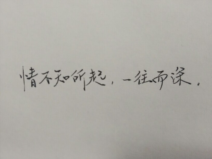 【手写文字】情不知所起,一往而深.