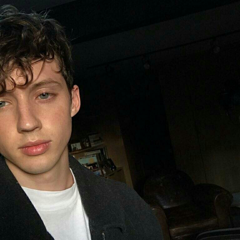 troye sivan[戳爷[头像[壁纸[动图]