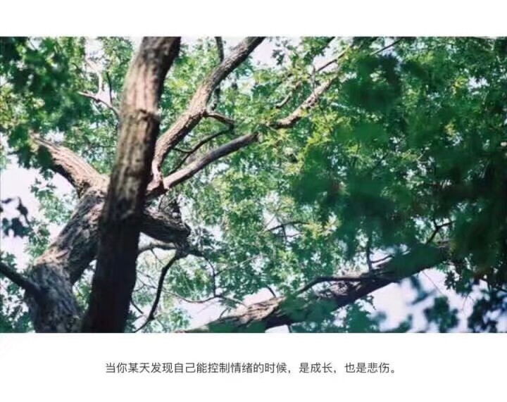 话集:当你某天发现自己能控制情绪的时候,是成长,也是悲伤.