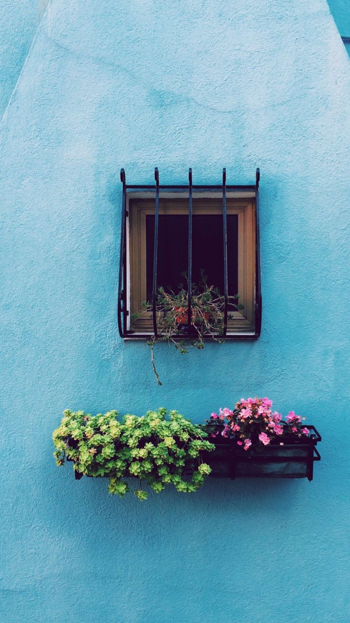 『唯美意境窗户花束壁纸』