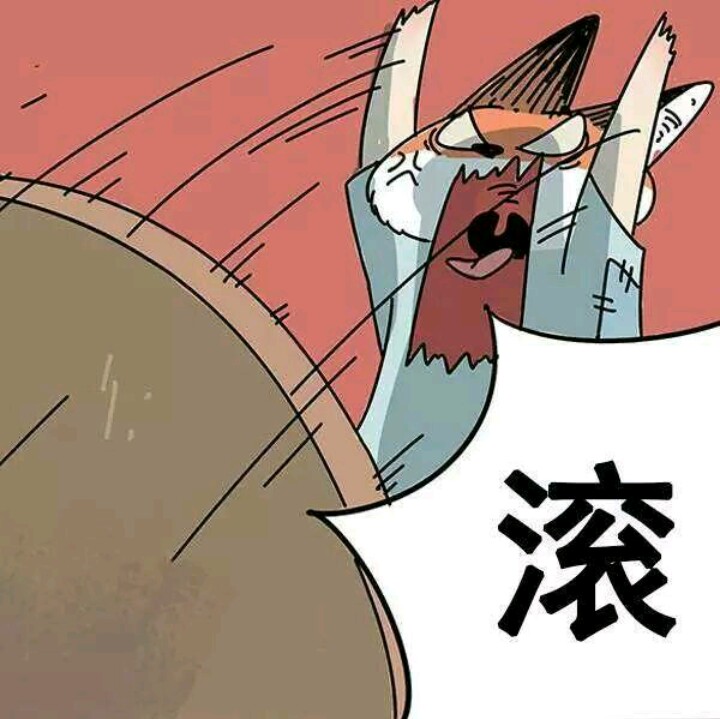 废柴狐阿桔表情包