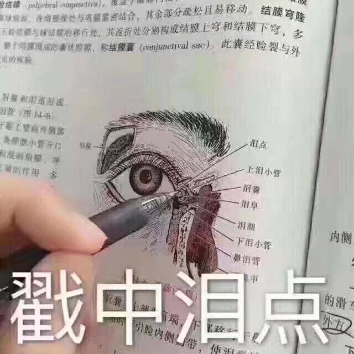 戳中泪点表情包