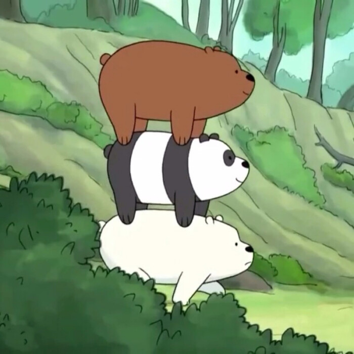 三只小熊