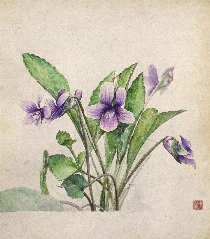 《帝王的花园》紫花地丁|手绘植物|菌菇|风景|纯艺术|雅各卑 - 原创