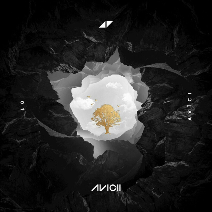专辑封面.without you——avicii