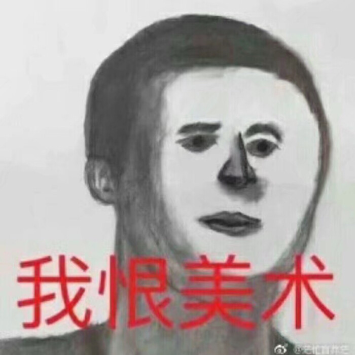 美术生专用