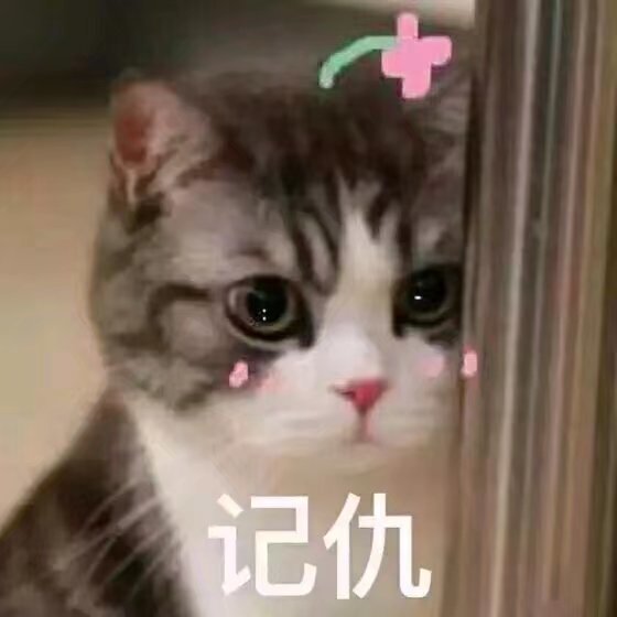表情包 笑惜