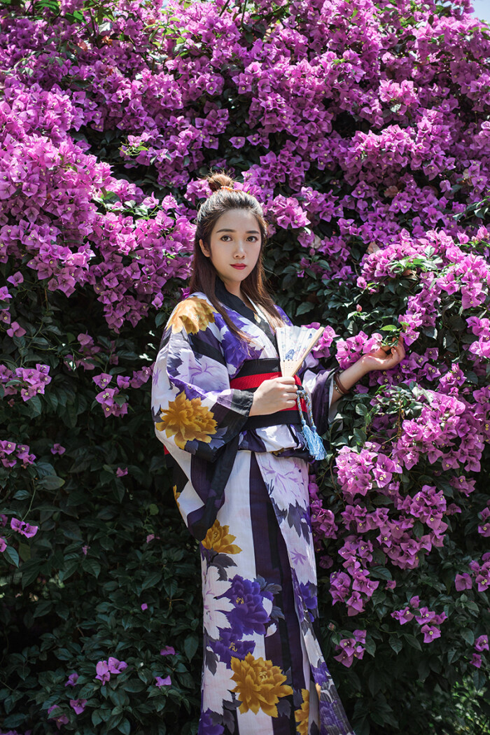 和服浴衣日本烽火大会正规纯棉传统和服套装日本旅拍摄影紫和服女