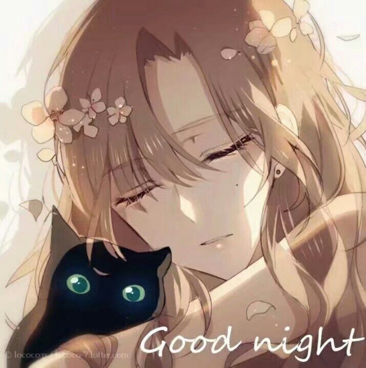 动漫团头 good night