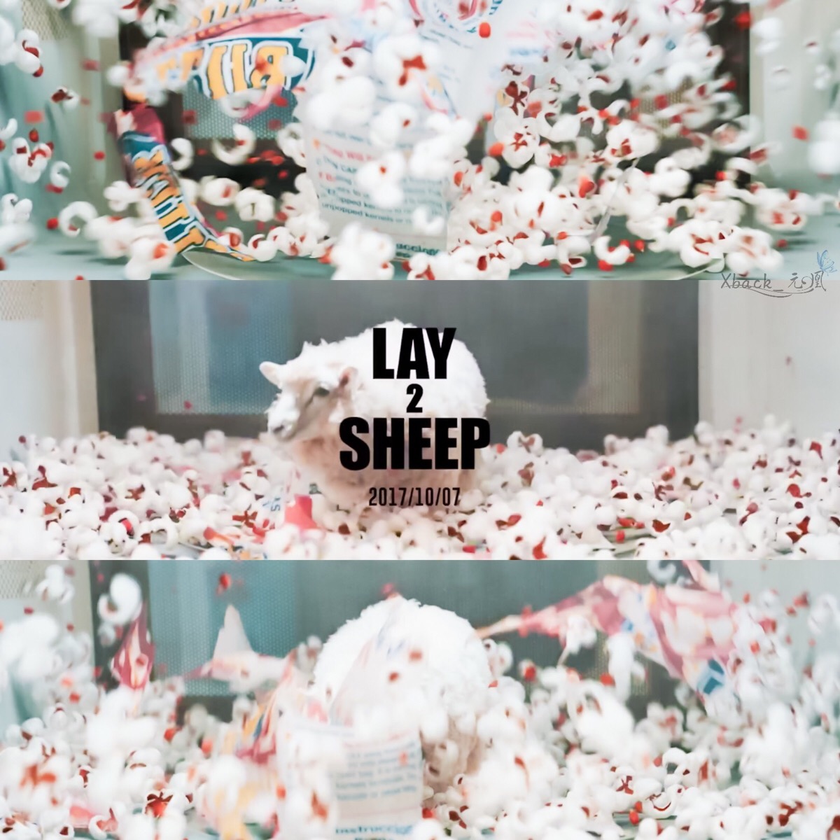 张艺兴 lay | cr.xback_元凰 | sheep screenshot