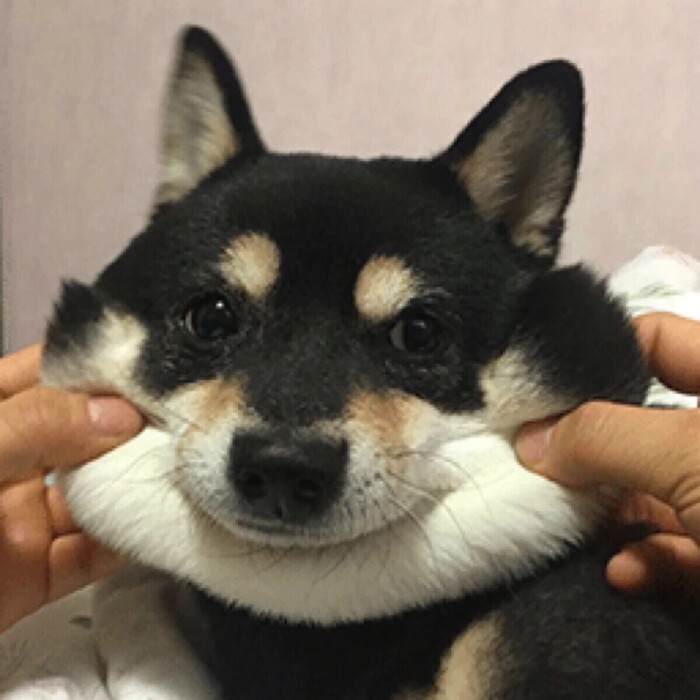 [ 情侣头像一对 ] 不定期更 淸汋