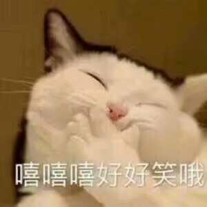 猫咪狗狗老鼠表情包可爱蠢萌套路小表情大表情