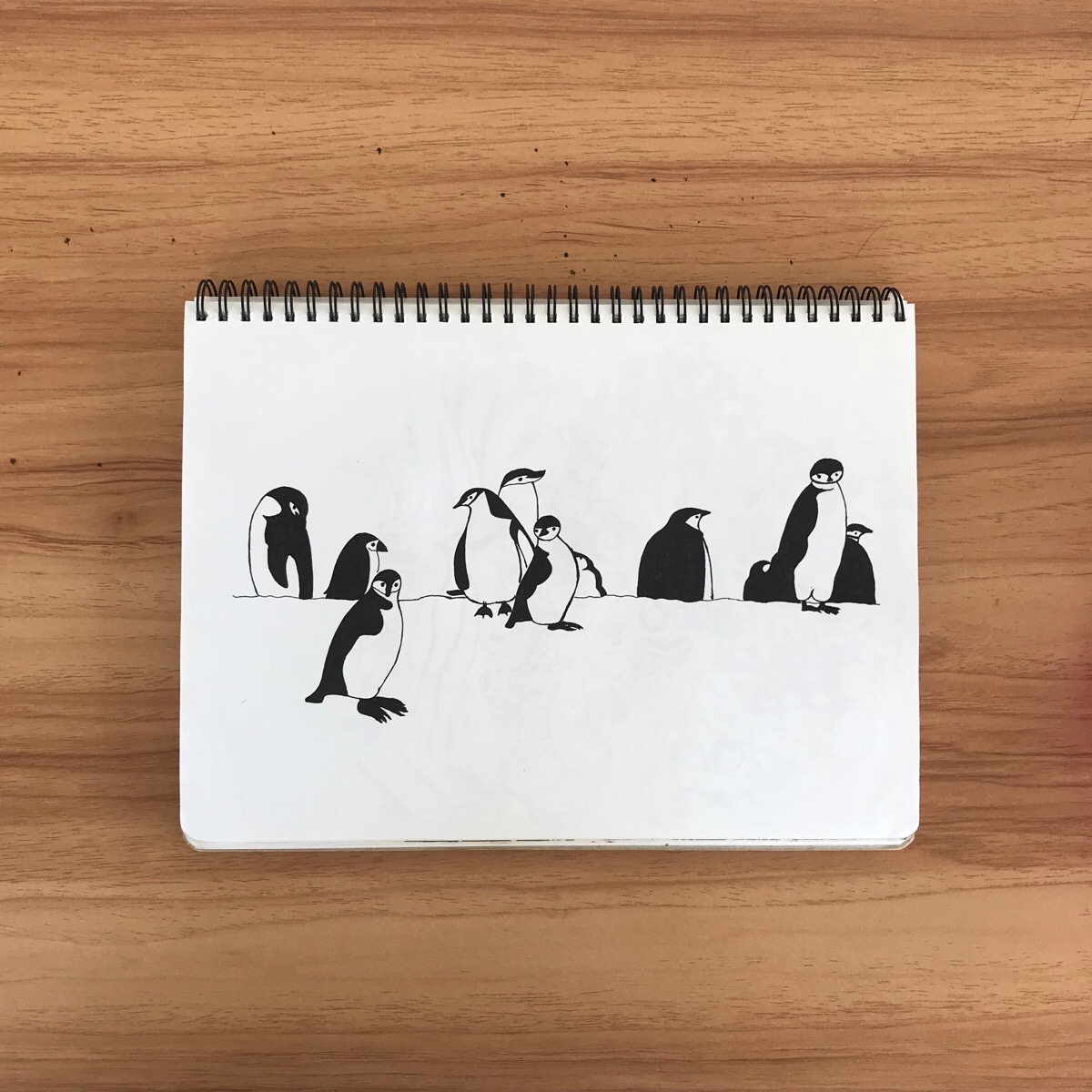 黑白画·水笔画·企鹅