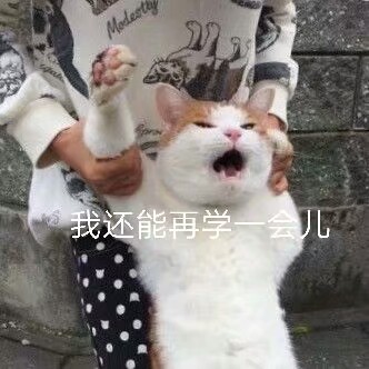 查看源网页