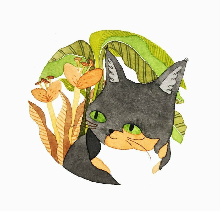 水粉 猫咪 插画