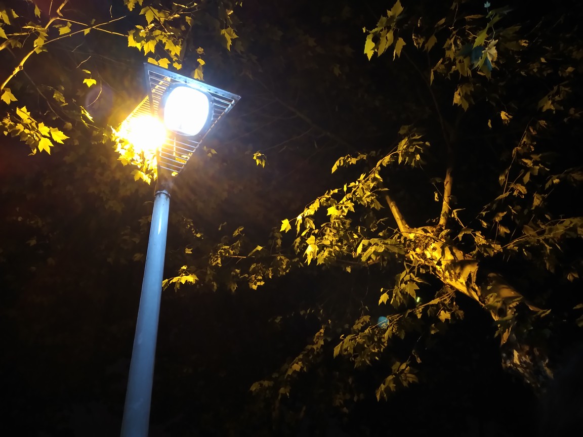 武汉理工大学 余家头 校园一角 摄影 夜景 路灯