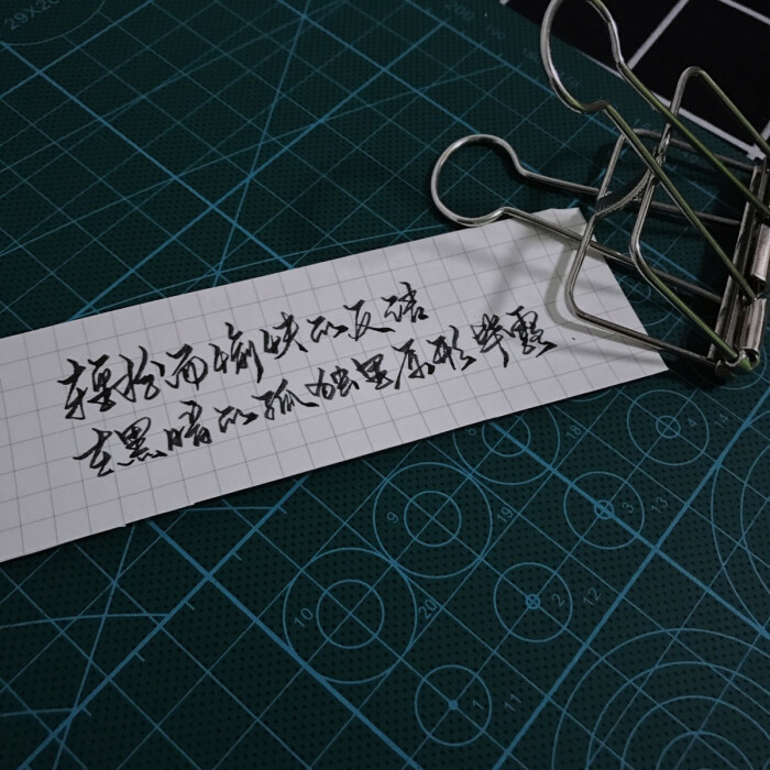 手写 文字句子 | 白日里的伪装