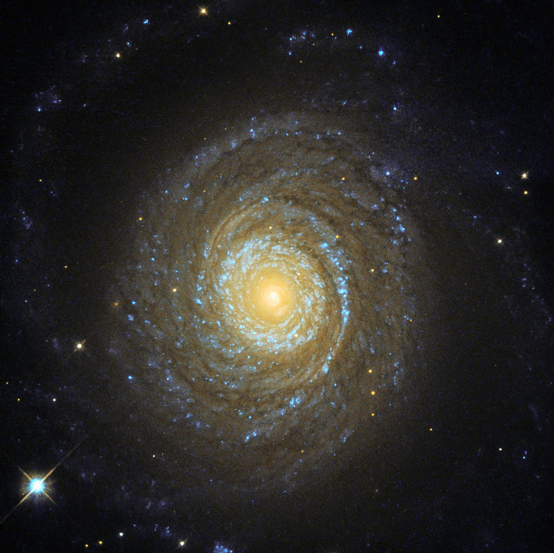 galaxy),旋涡星系(spiral galaxy),棒旋星系(barred spiral galaxy)