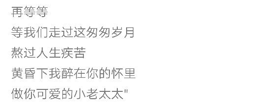 再等等等我们走过这匆匆岁月熬过人生疾苦黄昏下我醉在你的怀里做你