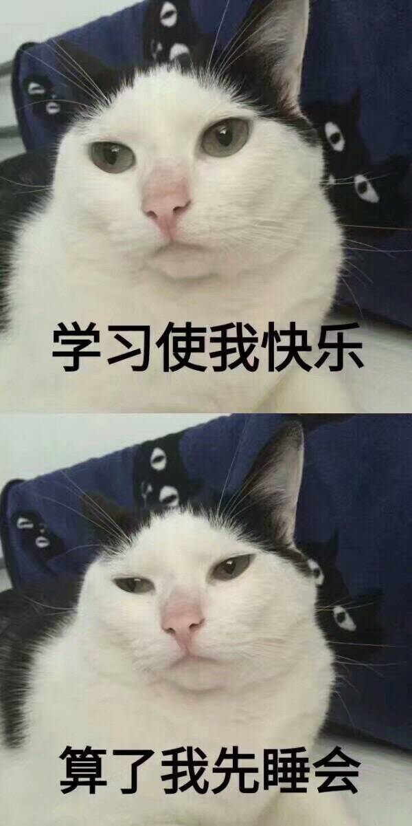 学习使我快乐