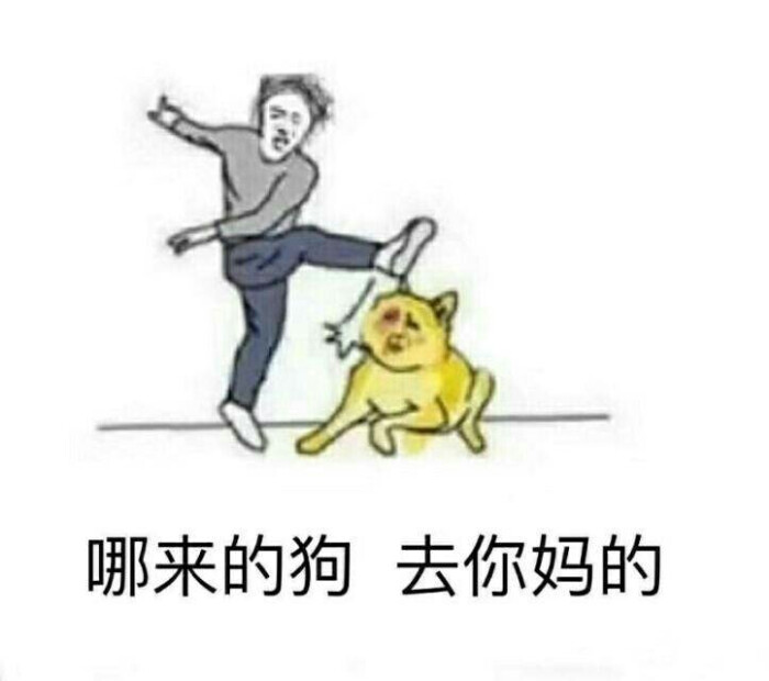 查看源网页