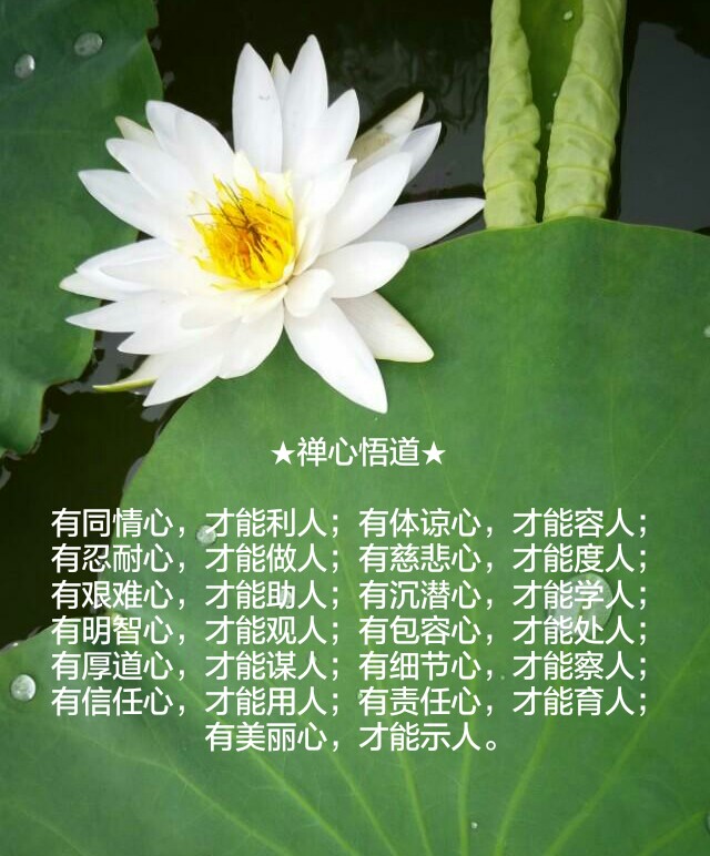 禅心悟道★有同情心,才能利人;有体谅心,才能容人;有忍耐心,才能