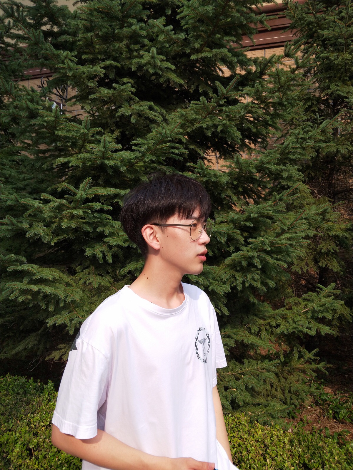费启鸣