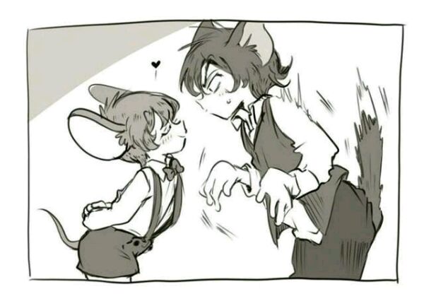 猫和老鼠