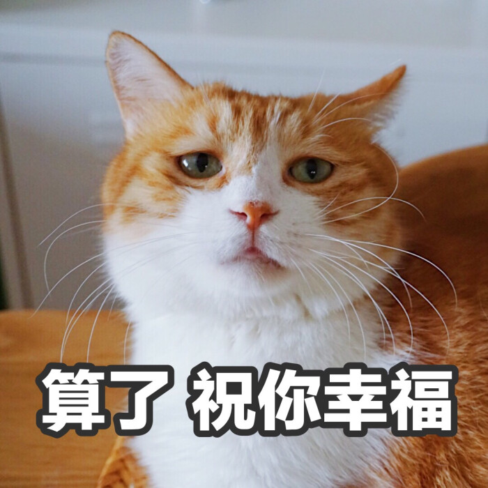 算了 祝你幸福