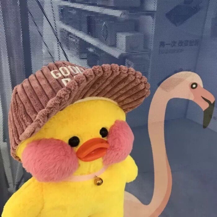 玻尿酸鸭 头像