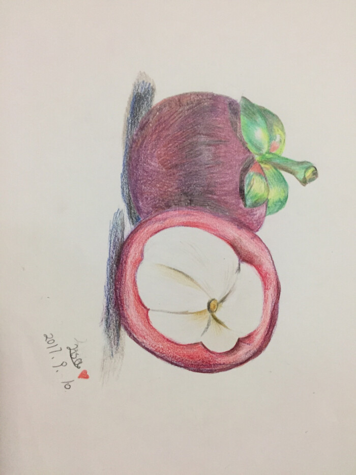 彩铅画 山竹