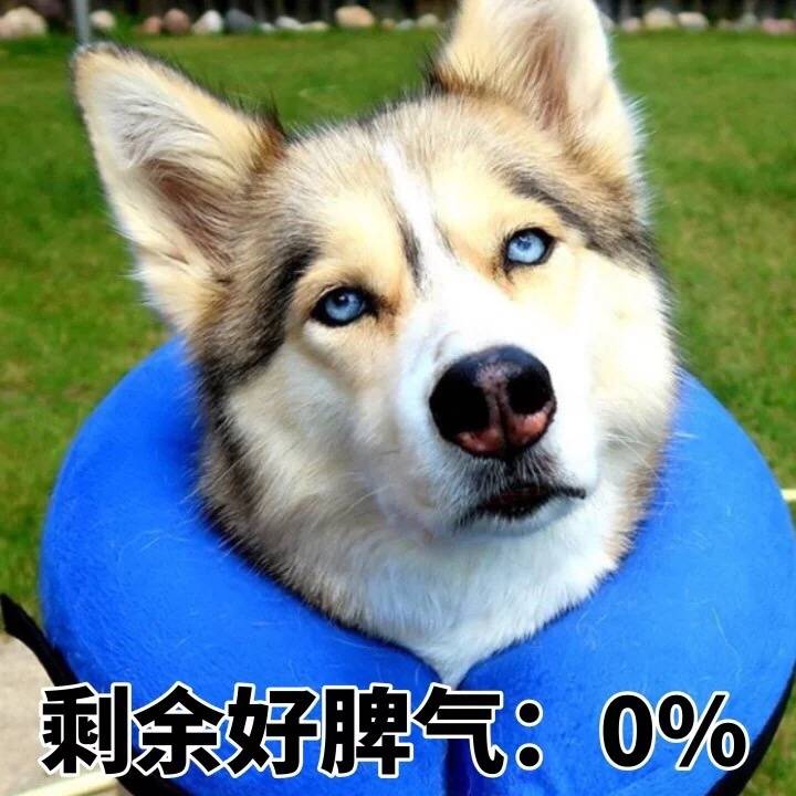 剩余好脾气0%