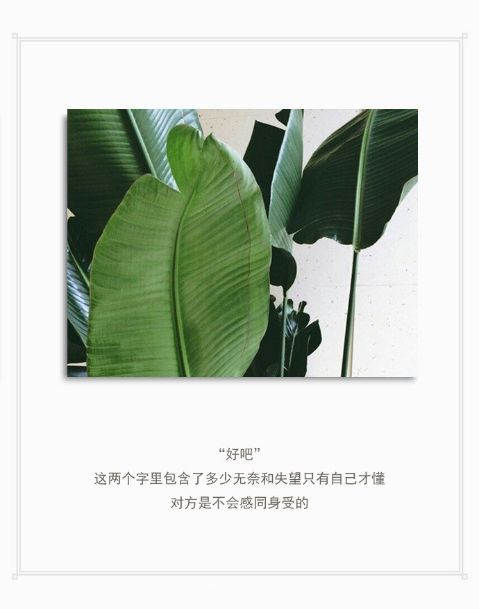 文字心情,备忘录,文艺文字,文字图片,文字美图,微博配图,说说配图