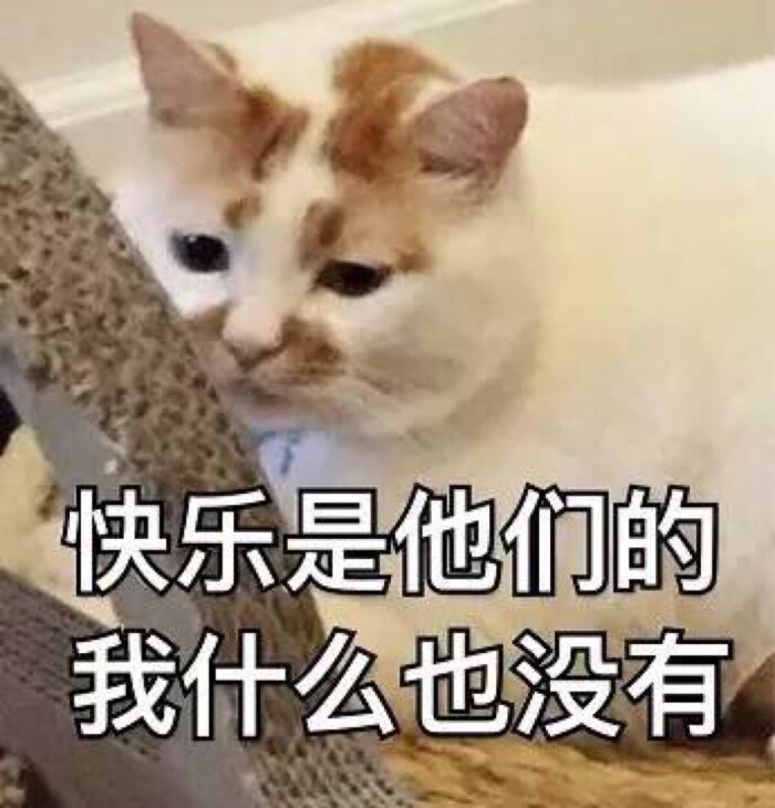 快乐是他们的,我什么都没有