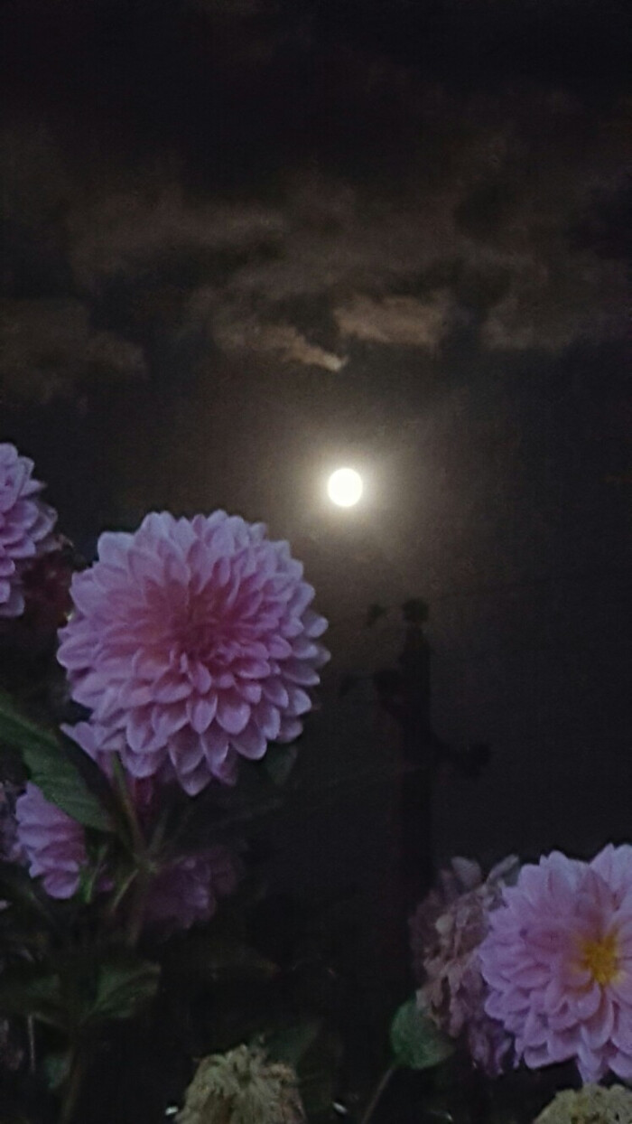 花好月圆