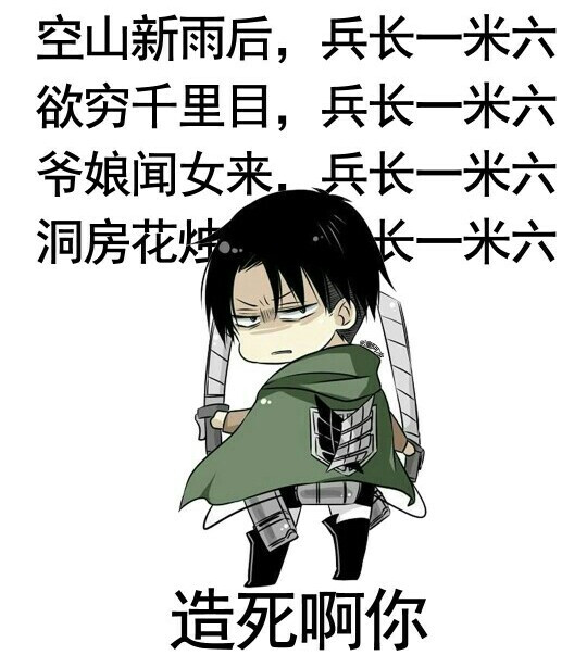 【进击的巨人】利威尔兵长