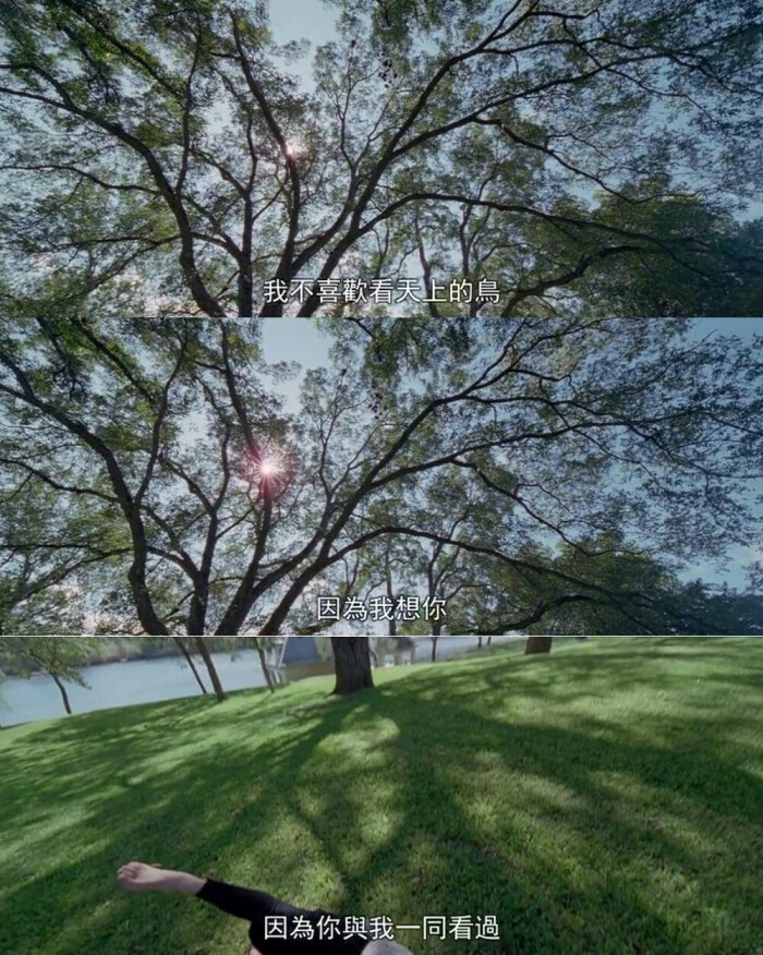 《歌声不绝》-堆糖,美好生活研究所