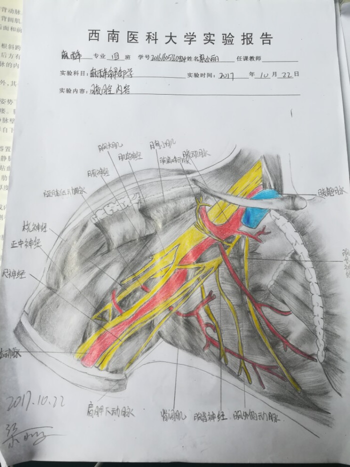 腋腔