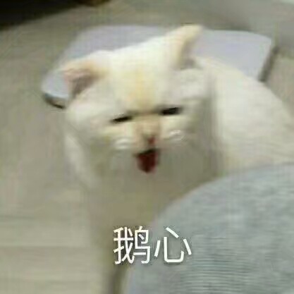 怼人 金馆长 表情包 搞笑 鬼畜 套路 逗比 可爱 猫咪 萌宠