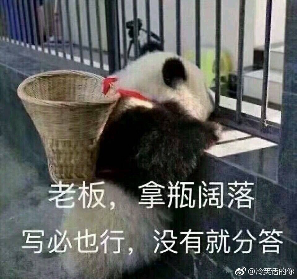 表情包 累觉不爱